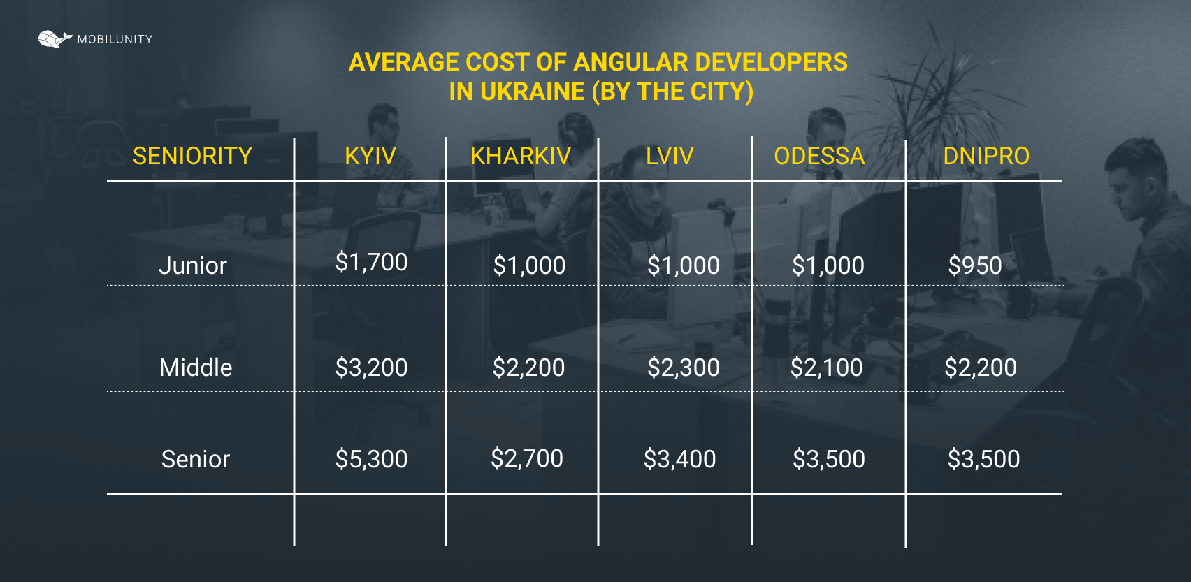 cost of angular developer in Ukraine