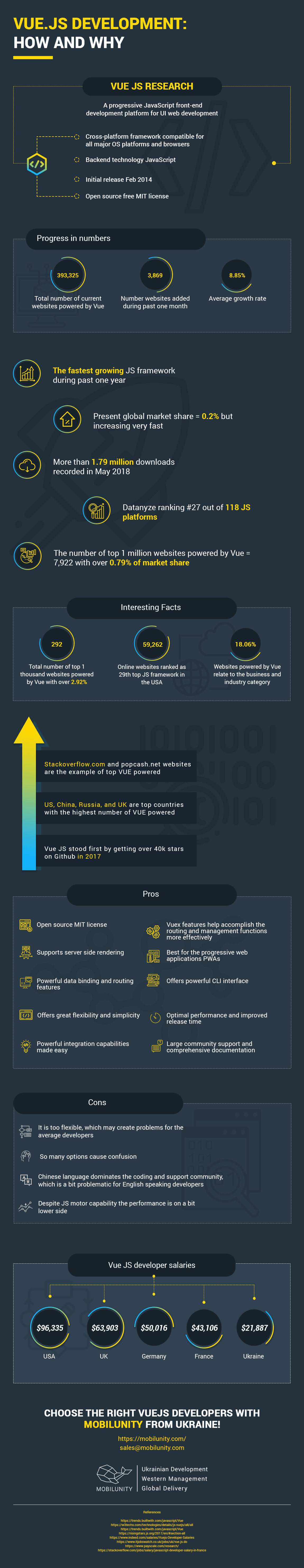 vue.js development company infographic