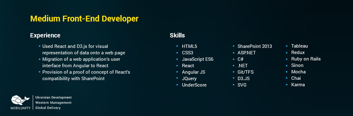 Angular React developer CV