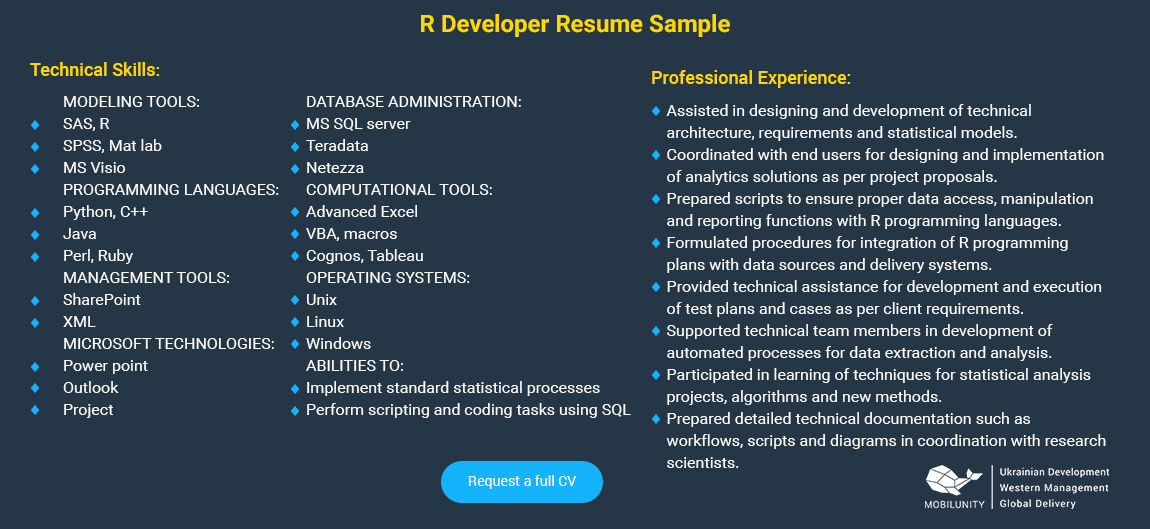 r programmer resume