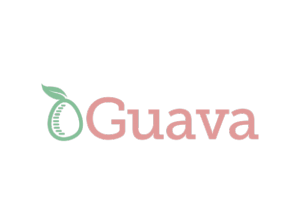 guava library