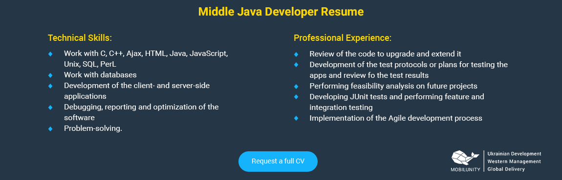 middle java developer resume example