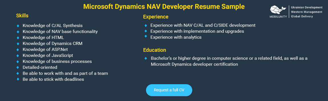 microsoft dynamics nav programmer cv sample