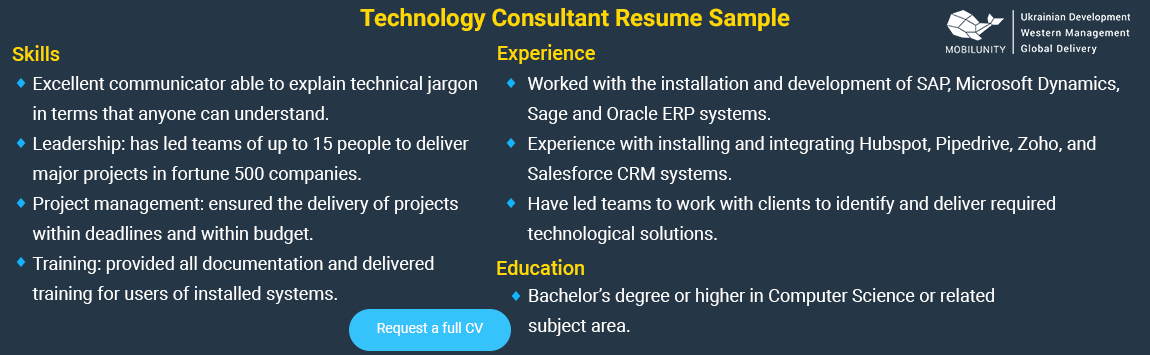 technology consultant resume sample