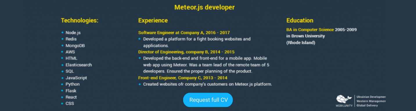 meteor js programmer cv sample