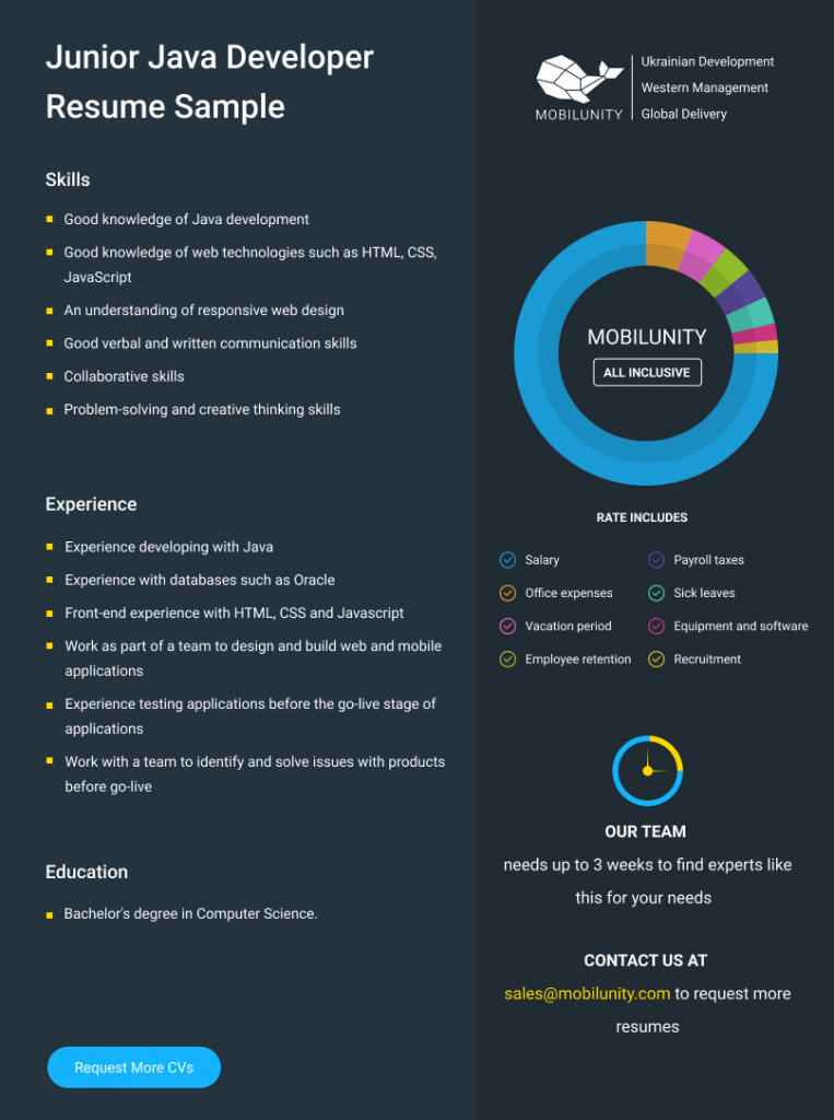 junior java developer resume example