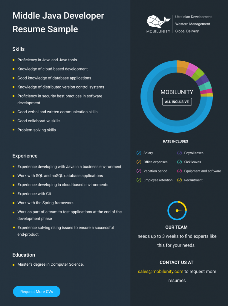 mid level java programmer resume example