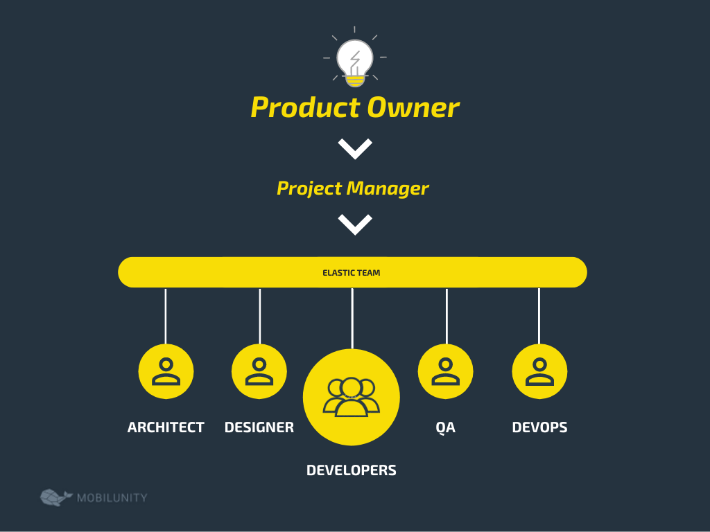 Software Development Team Structure Set Up | Mobilunity