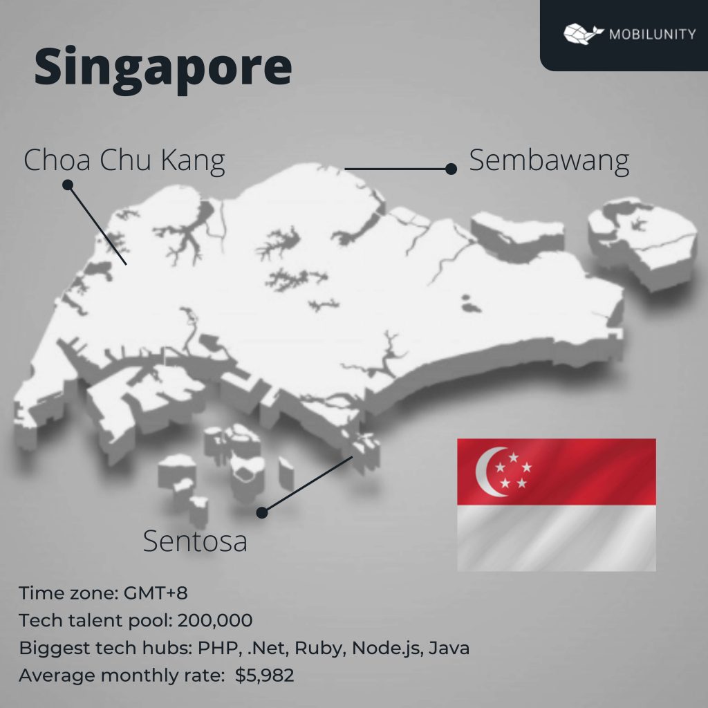 singapore software development 