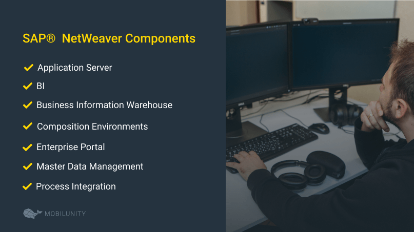 SAP®  NetWeaver Components