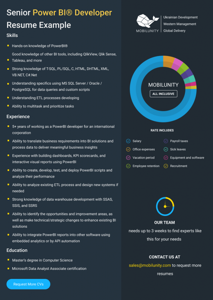 sample resume for power bi developer