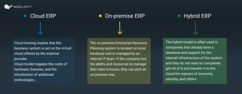 erp consulting services cloud types