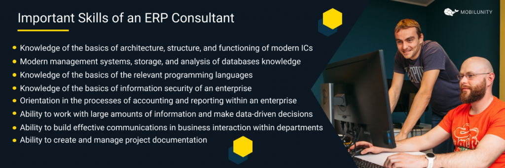 erp software consultants skills