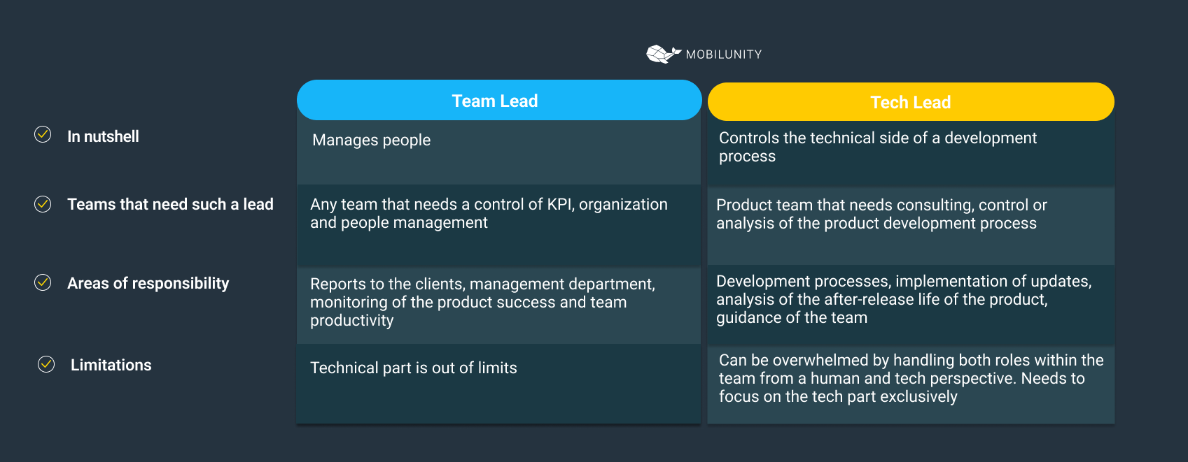 hire-a-dedicated-tech-lead-for-your-team-mobilunity