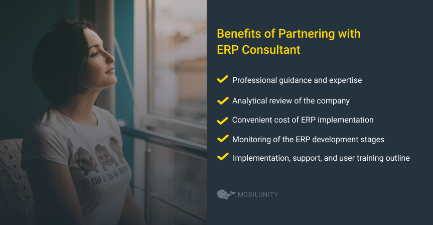 erp consultant benefits