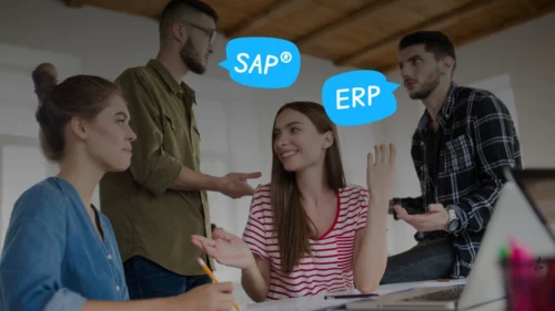 SAP® Consultants vs ERP Consultants