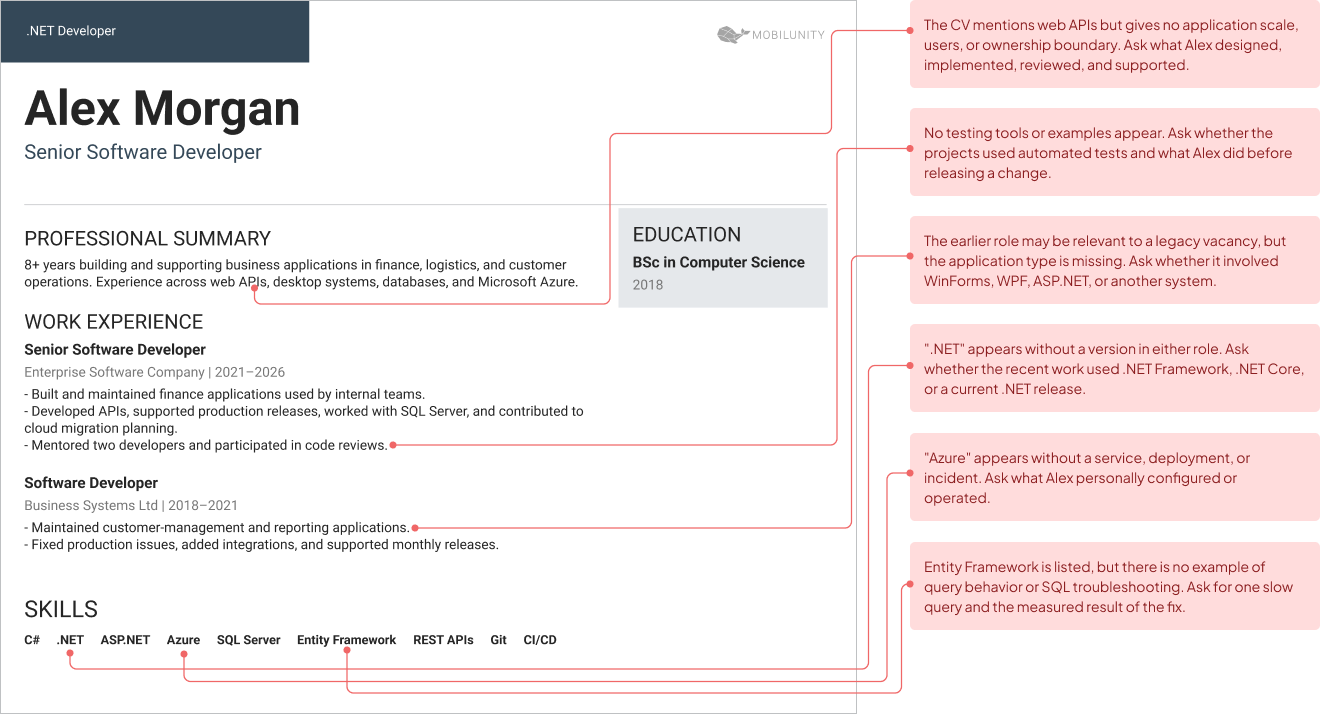 red flags examples in net developer cv