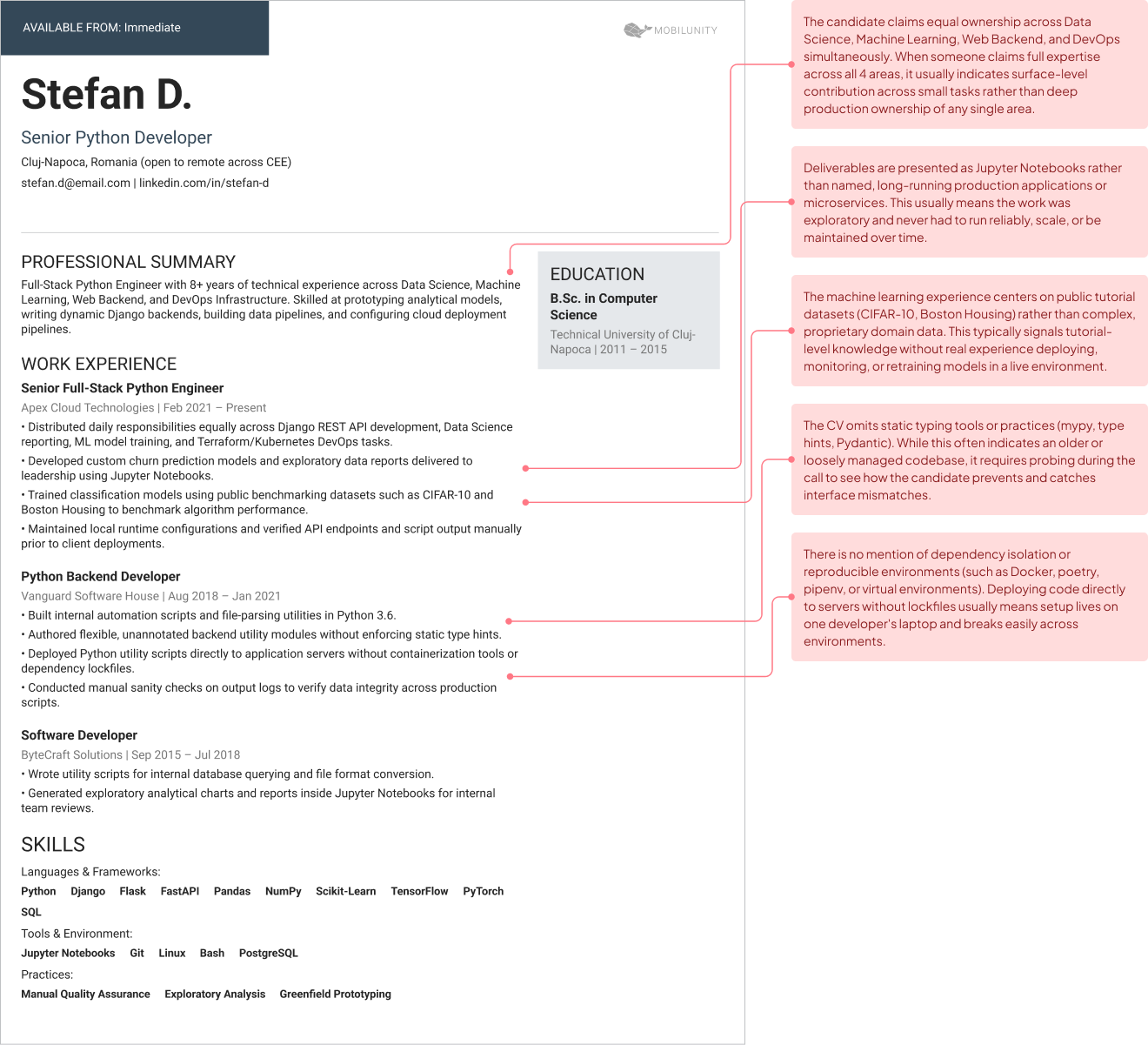 python developer cv red falgs examples